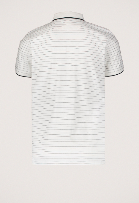 Pike Polo 