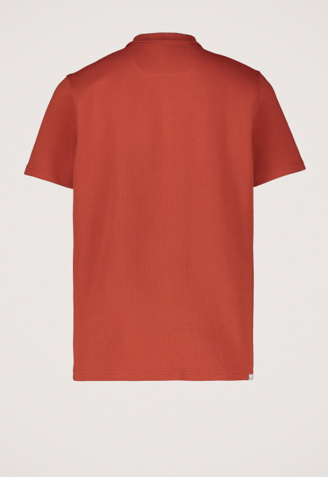 Molo Polo