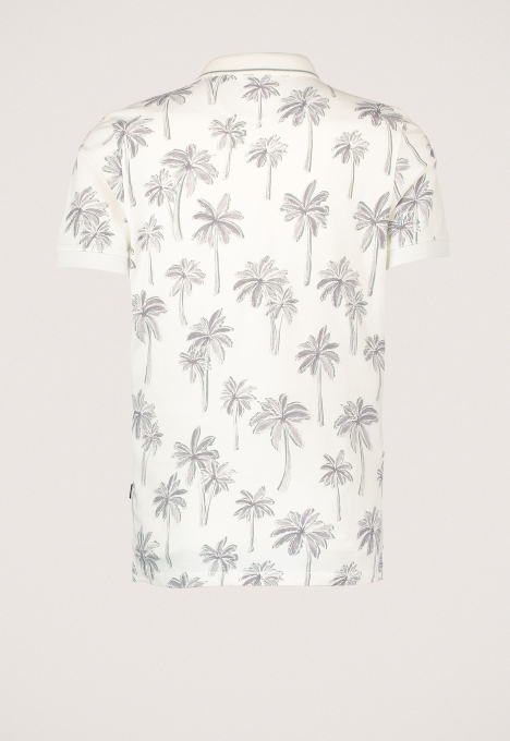 Pano Polo
