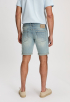 Lewis Short