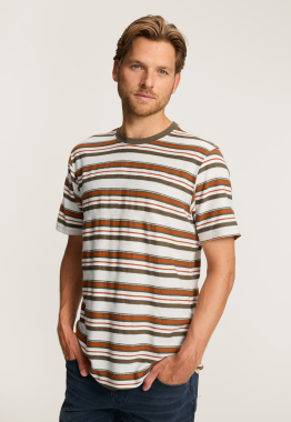 Heren T shirts Shop T shirts voor heren online Silvercreek Silvercreek