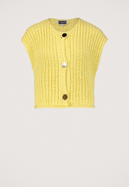 Mentha Vest 
