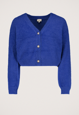 Minne Vest