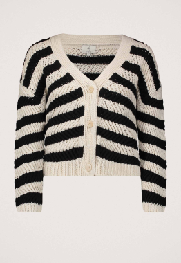 Payton Vest