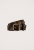 Ailey Riem