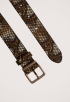 Ailey Riem