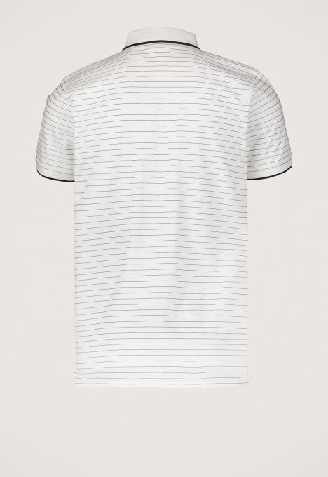 Pike Polo 