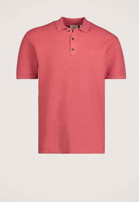 Elliot Polo